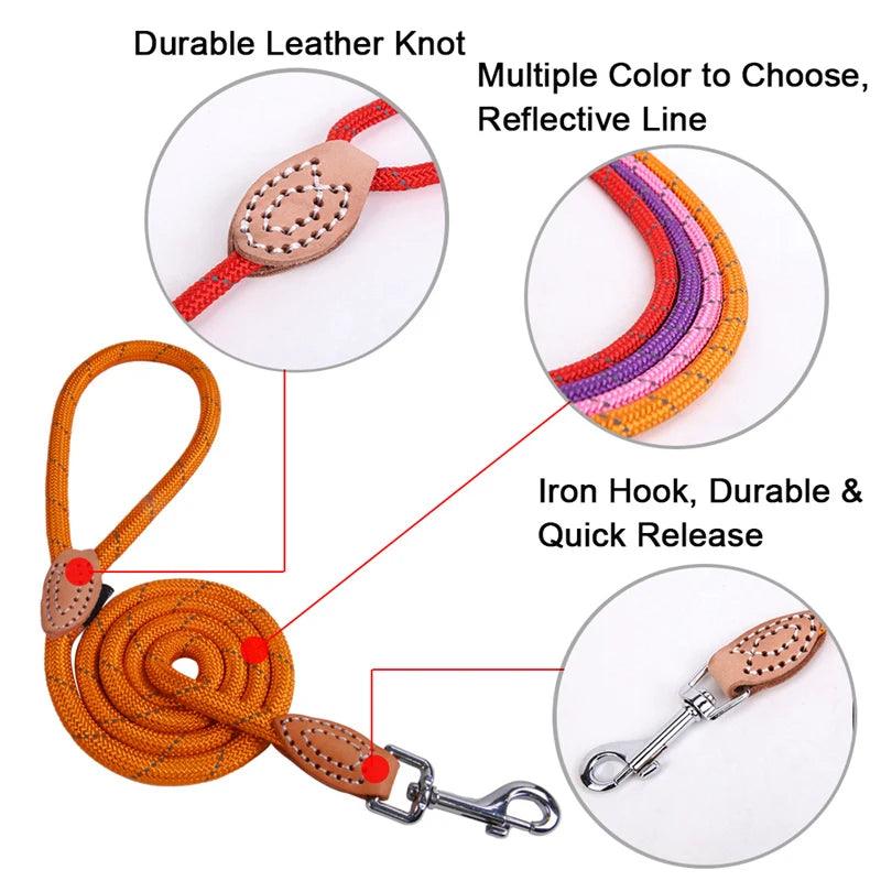 Pet Products Dog Leash Nylon Reflective Puppy Dog Leash Rope Cat Chihuahua Pet Leash And Collar Set Cat Dog Leashes Lead Harness - Loja Winner