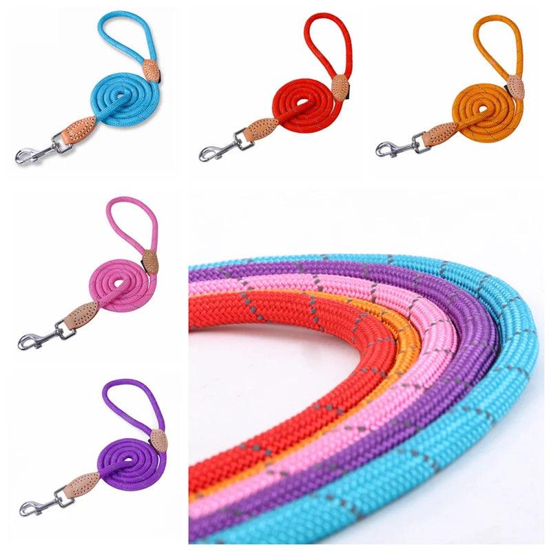 Pet Products Dog Leash Nylon Reflective Puppy Dog Leash Rope Cat Chihuahua Pet Leash And Collar Set Cat Dog Leashes Lead Harness - Loja Winner