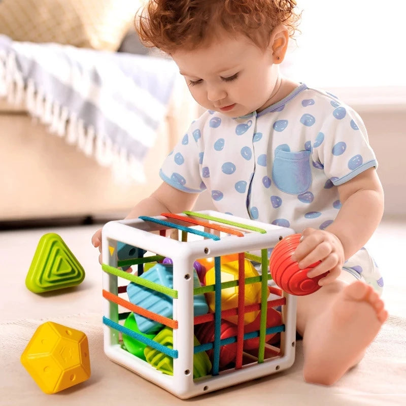 Motor Skills Training & Educational Fun: Baby Shape Sorter Cube Toy for Kids! - Loja Winner