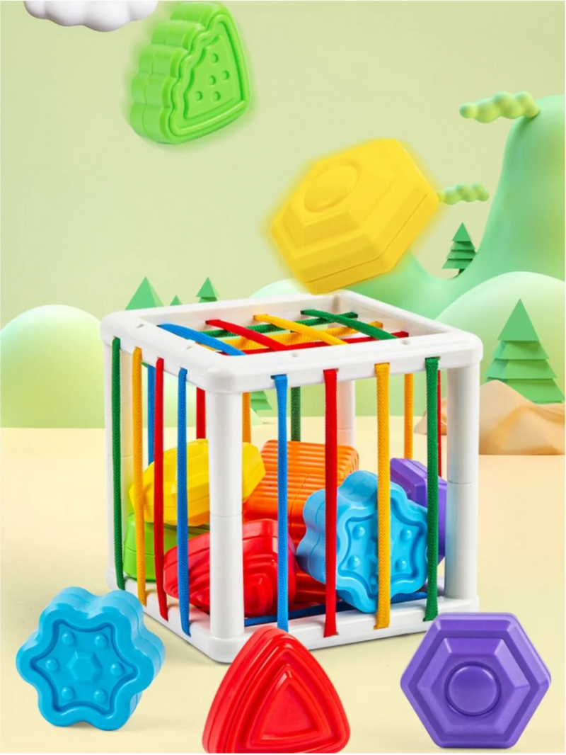 Motor Skills Training & Educational Fun: Baby Shape Sorter Cube Toy for Kids! - Loja Winner