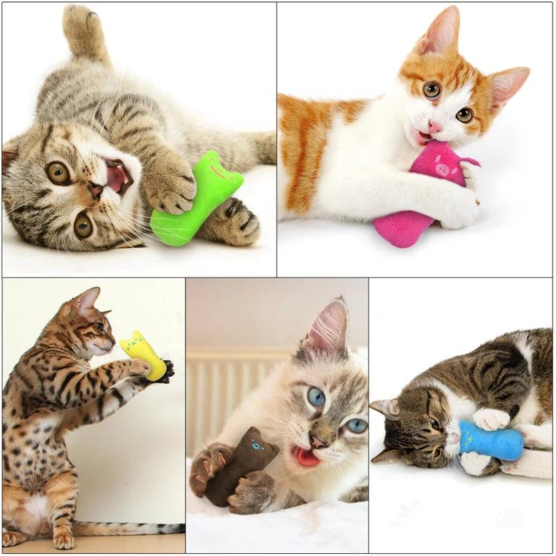 Pet Cats Cute Toys Catnip Products Kitten Teeth Grinding Plush Thumb Pillow Play Game Mini Accessories Cotton Soft Chew Bite Toy - Loja Winner