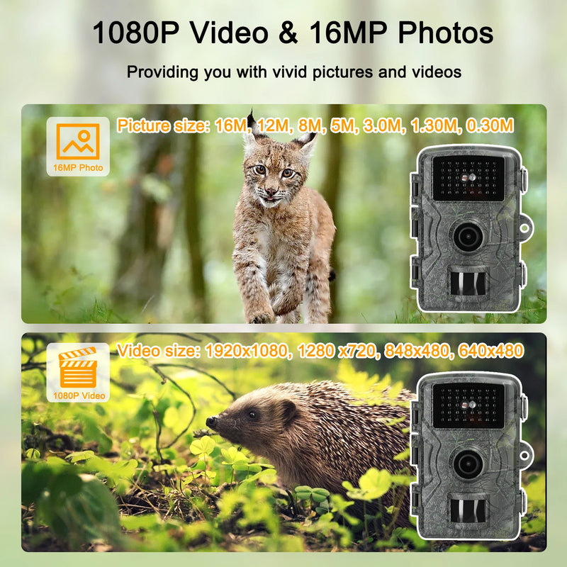 1080P Portable Multi-function Outdoor Animal Observation Camera IP66 Waterproof Infrared Monitoring Camera Taking